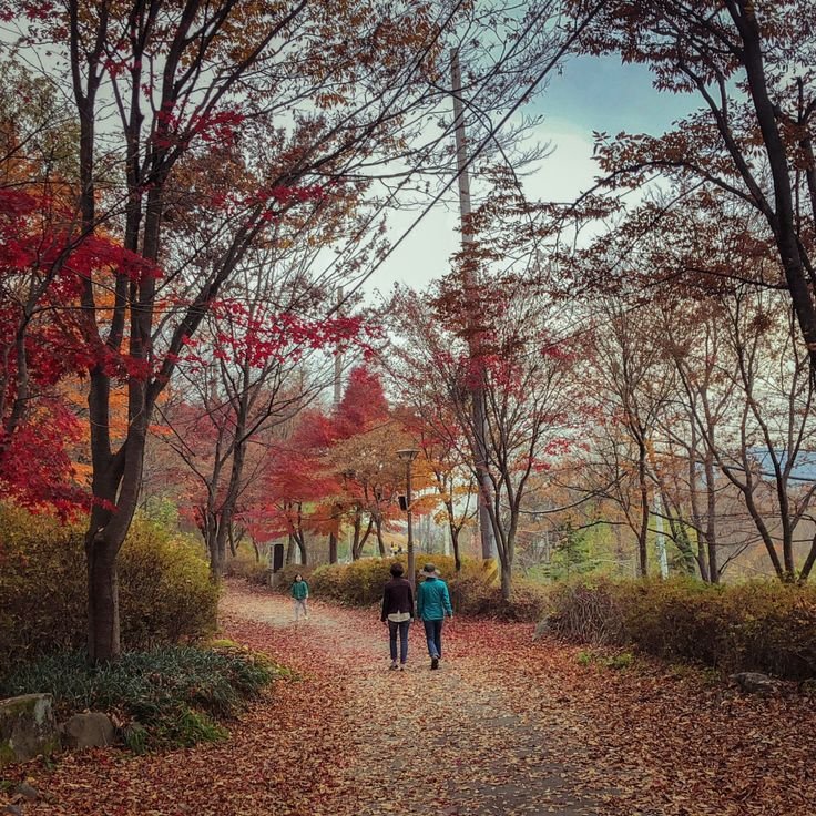 Why Choose Walk and Talk Counselling? 